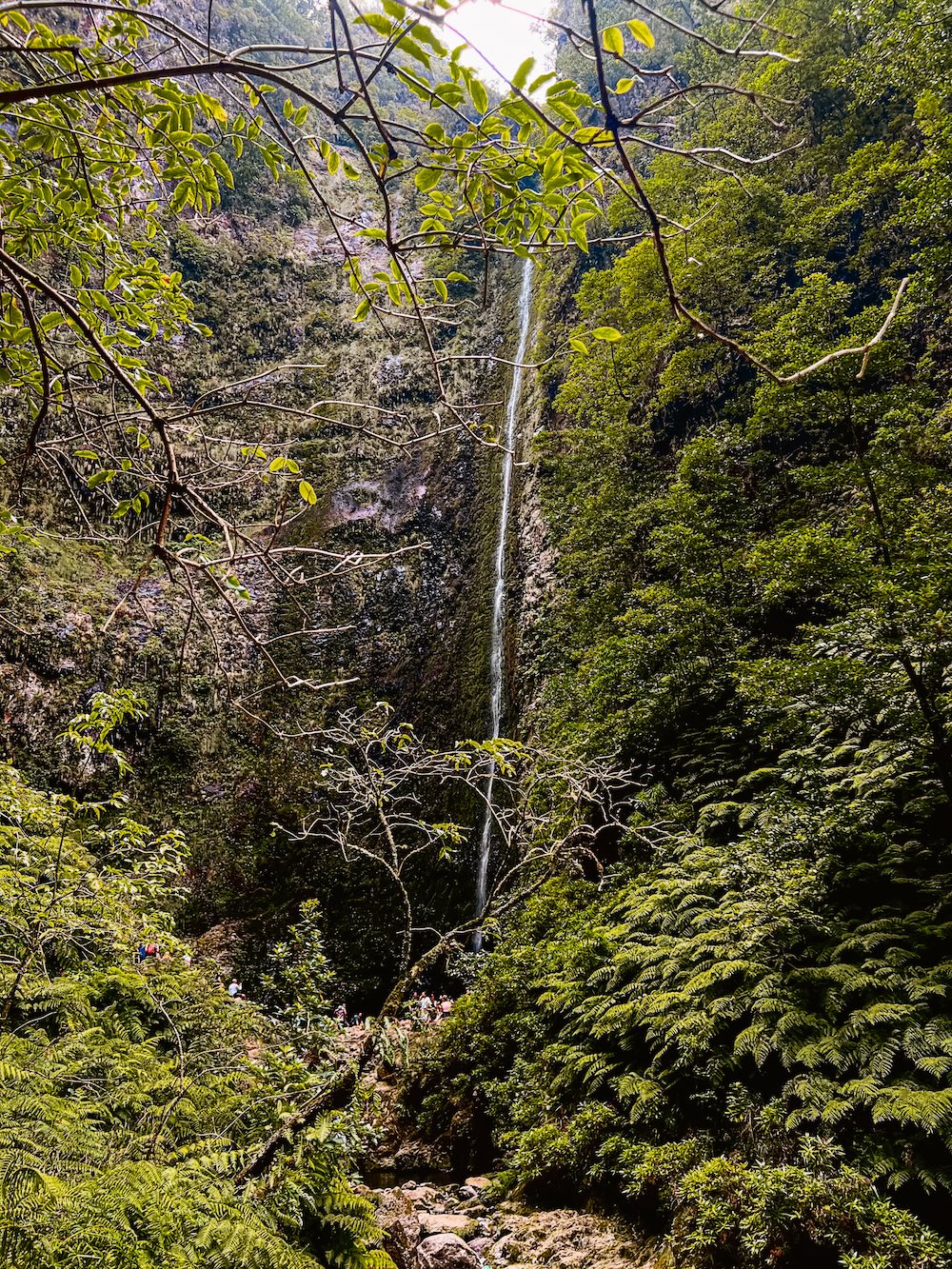 Caldeirão Verde, Madeira