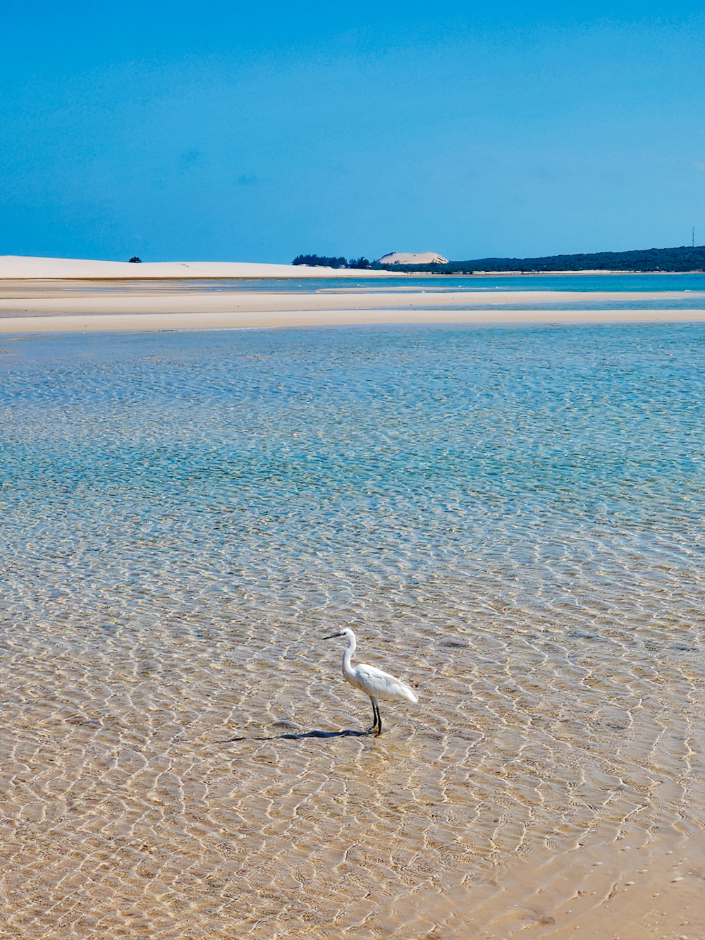 Mozambique strand