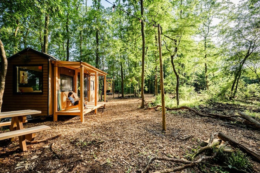 Tiny Parks Forest, Bijzondere hotels in Nederland