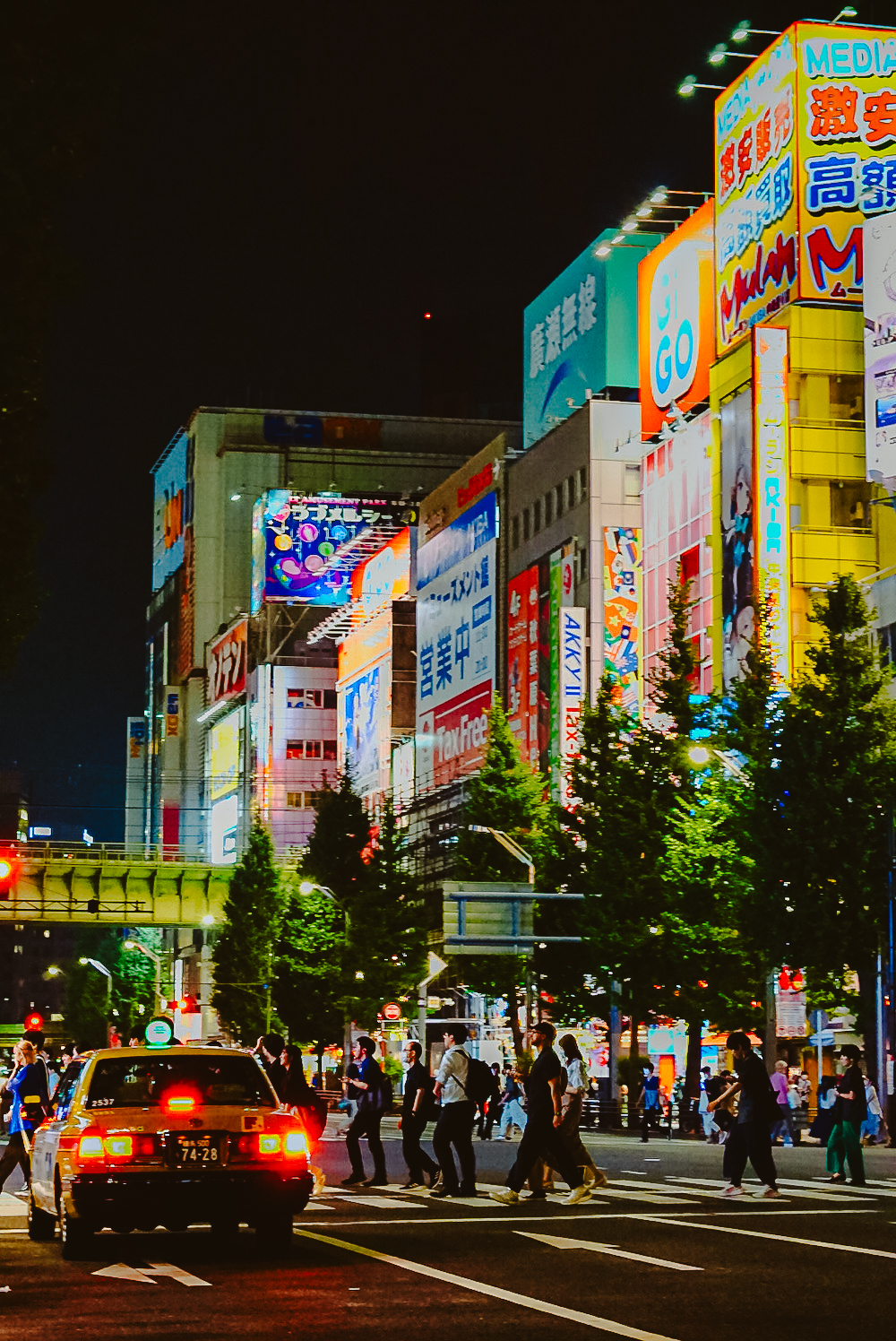 Tokyo by night, reisroute Japan