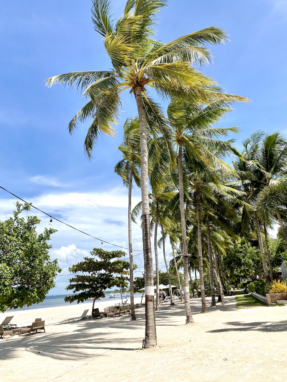 tropische stranden op Bohol