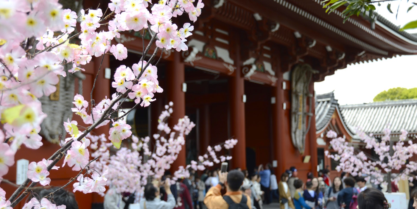 1 week tokyo japan tips