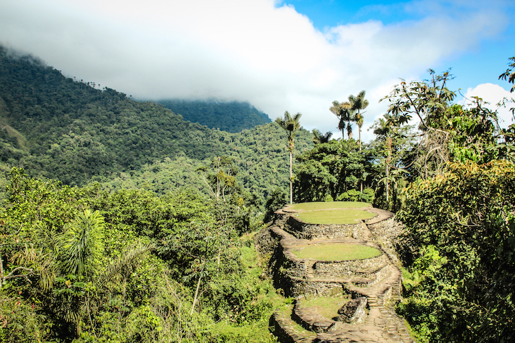 14 - COLOMBIA backpacken jungle