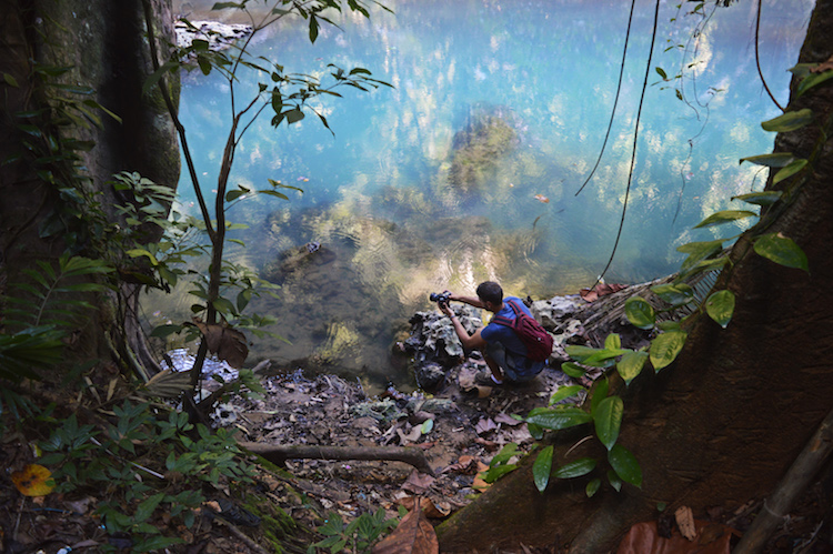 bantimurung indonesie
