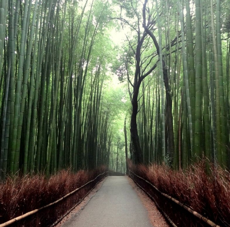 Kyoto Japan