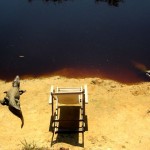 Pantanal Brazilie