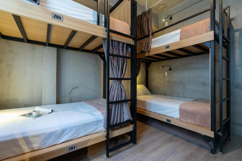 Hostel dorm room with four metal-framed bunk beds, bed numbers 203–206, privacy curtains, and simple gray walls.