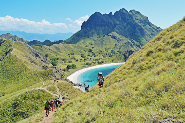 Komodo indonesie
