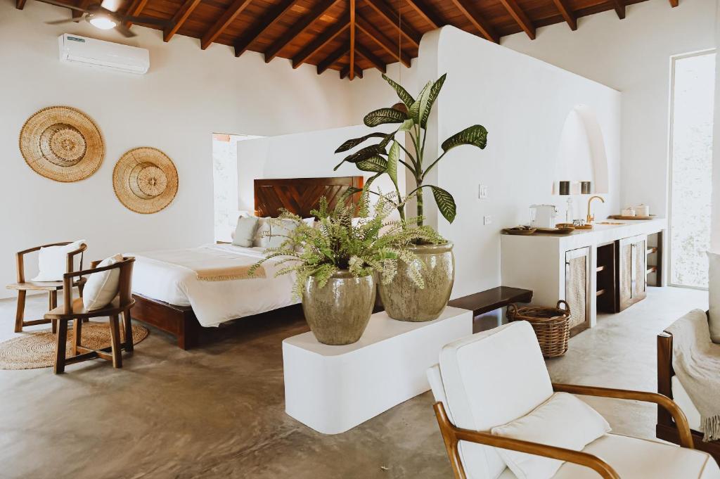 Open-plan bedroom with white walls, wood-beamed ceiling, large potted plants, and a seating area near the bed.