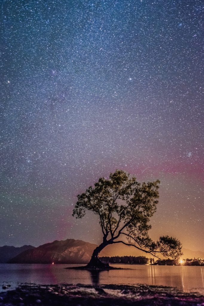 Wanaka-Tree-Nieuw-Zeeland-WeAreTravellers-Yannick-De-Pauw