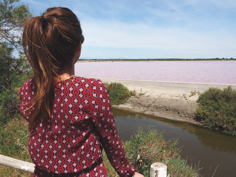 Aigues mortes frankrijk camargue omgeving-2