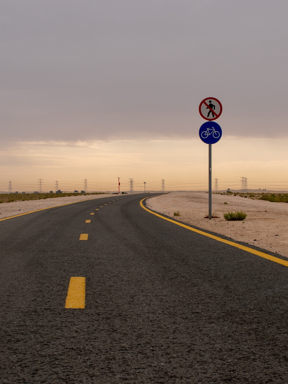 Al Qudra Cycling Track Dubai