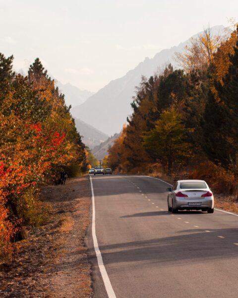Ala-Archa national park in kirgizie