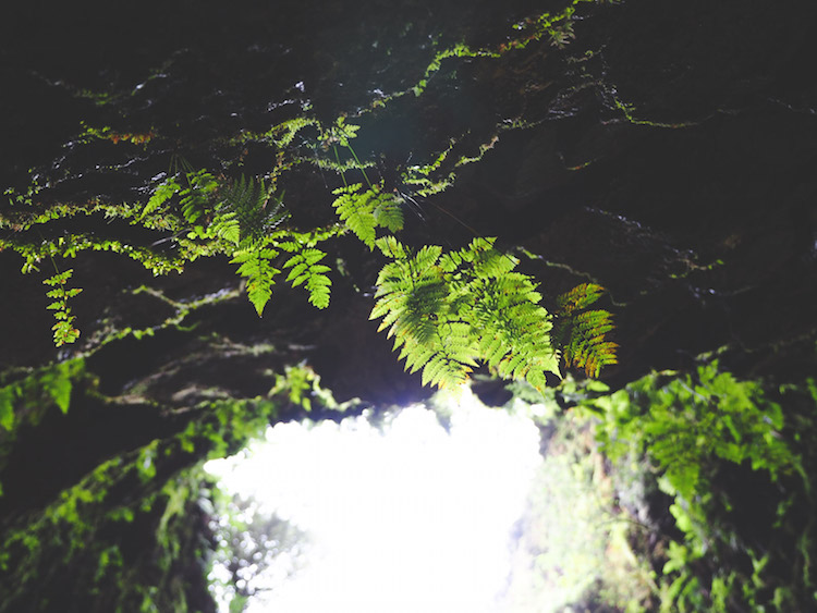 Algar do Carvao planten kraterwand terceira