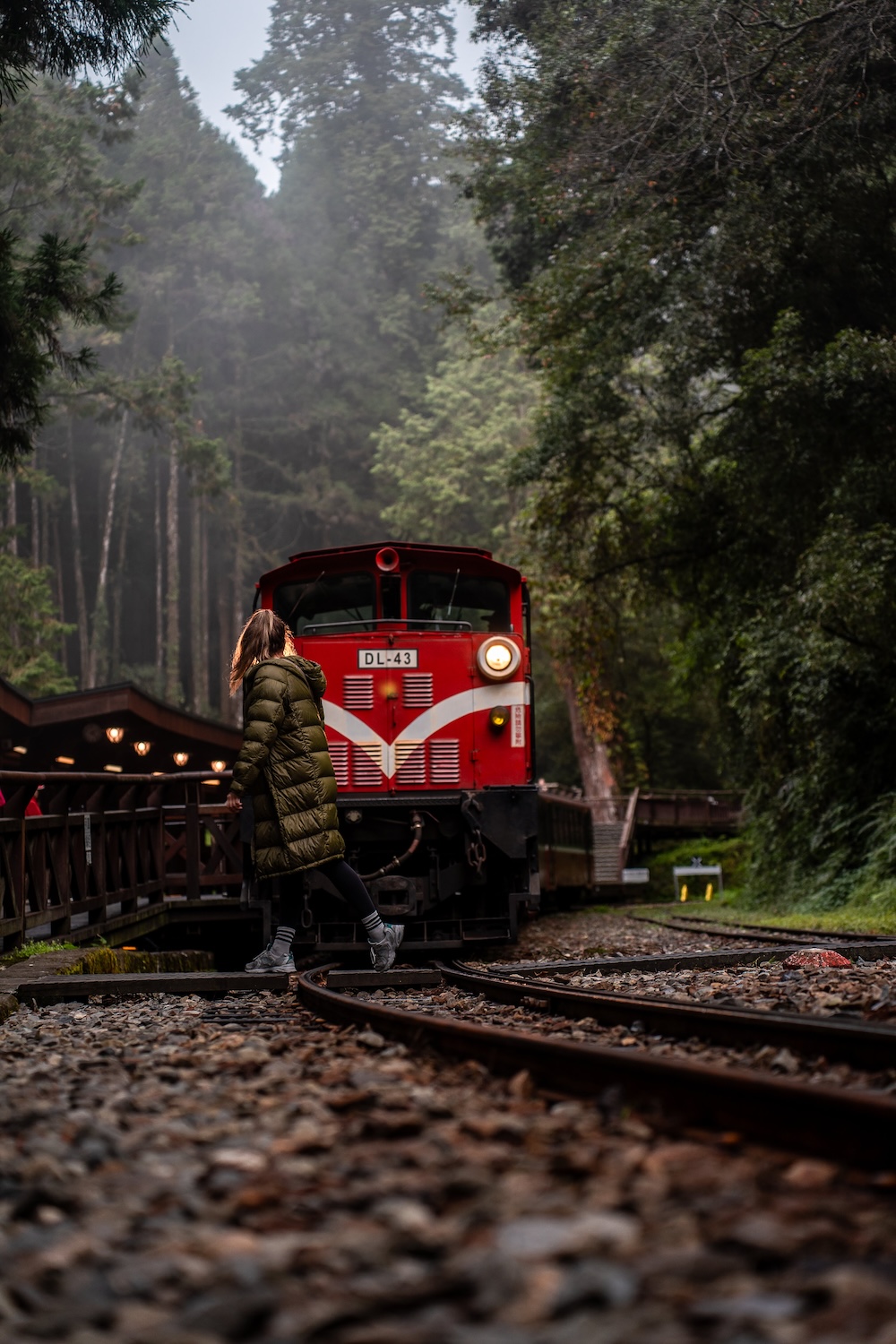 Alishan, Forest Railway