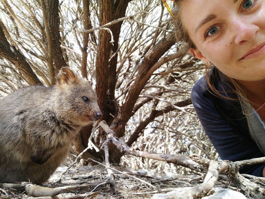 Alleen backpacken australie Quakka selfie in rottnest island