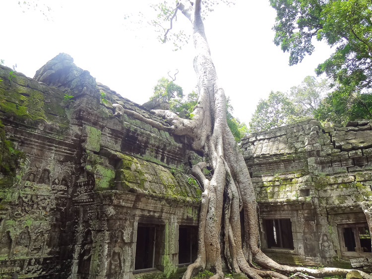 Angkor Wat ruinestad in Cambodja