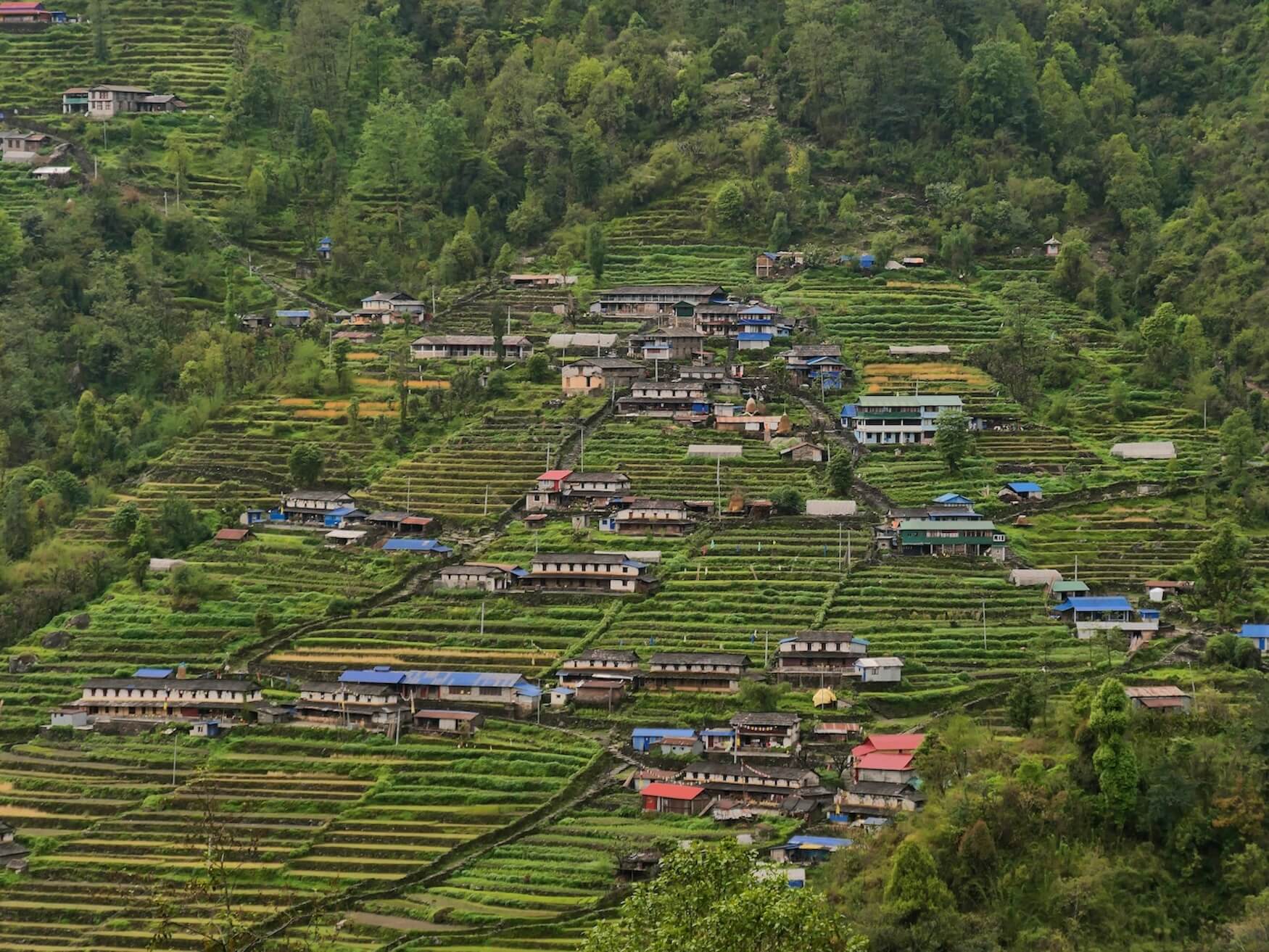Annapurna Base Camp Trek, dorpjes in rijstvelden