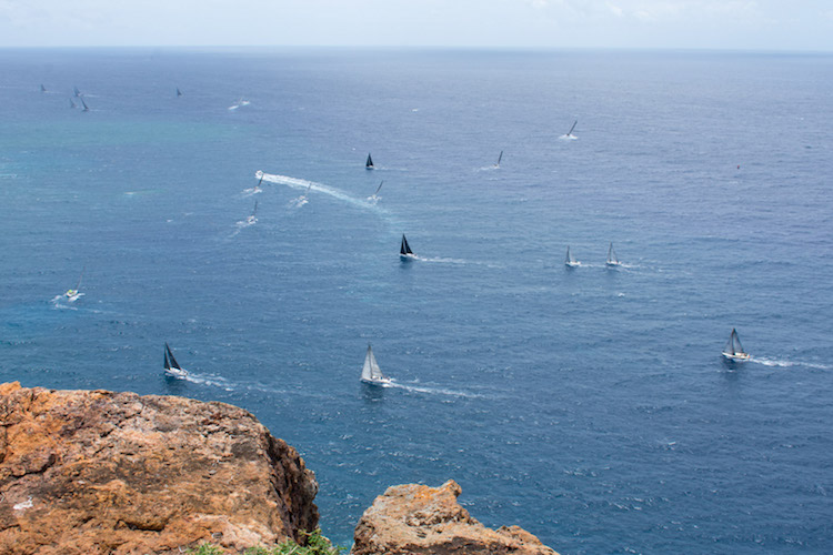 Antigua Sailing Week antigua barbuda_