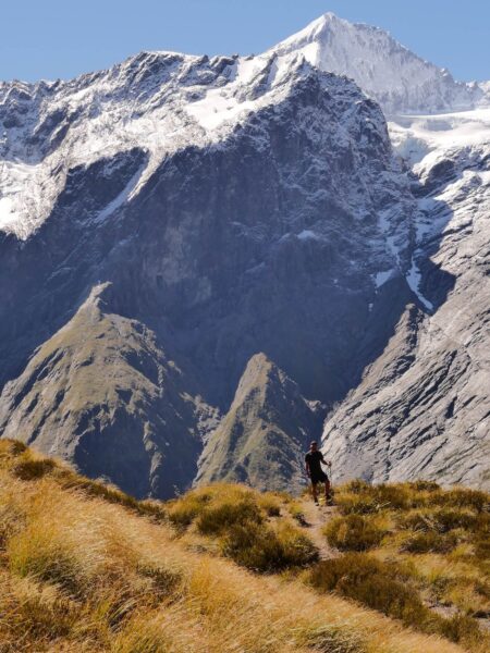 Aspiring NP - Liverpool track wanaka