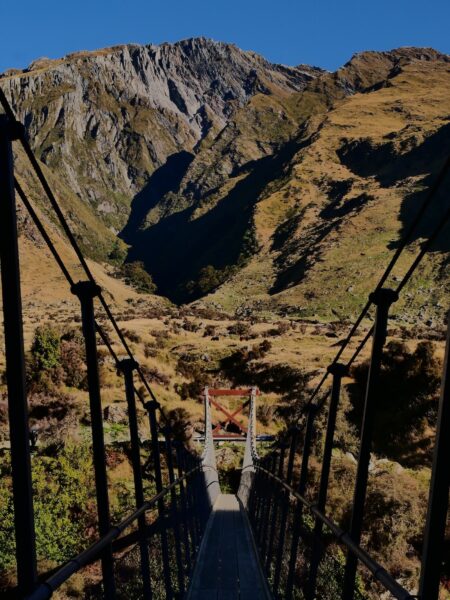 Aspiring National Park brug