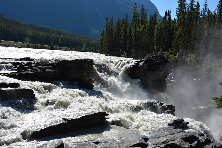 Athabasca falls in West Canada rondreis
