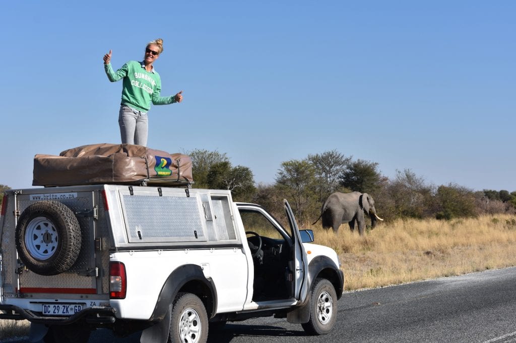 Backpacken Botswana jeepsafari