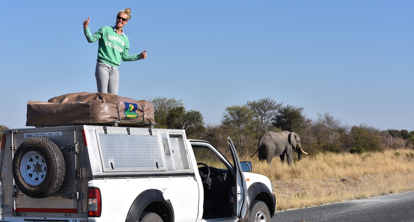 Backpacken Botswana jeepsafari olifanten