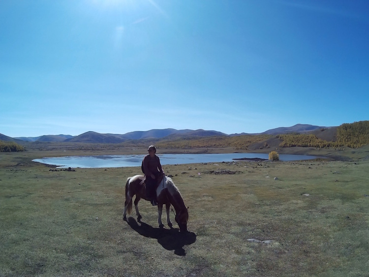paarden mongolie noord azie backpacken
