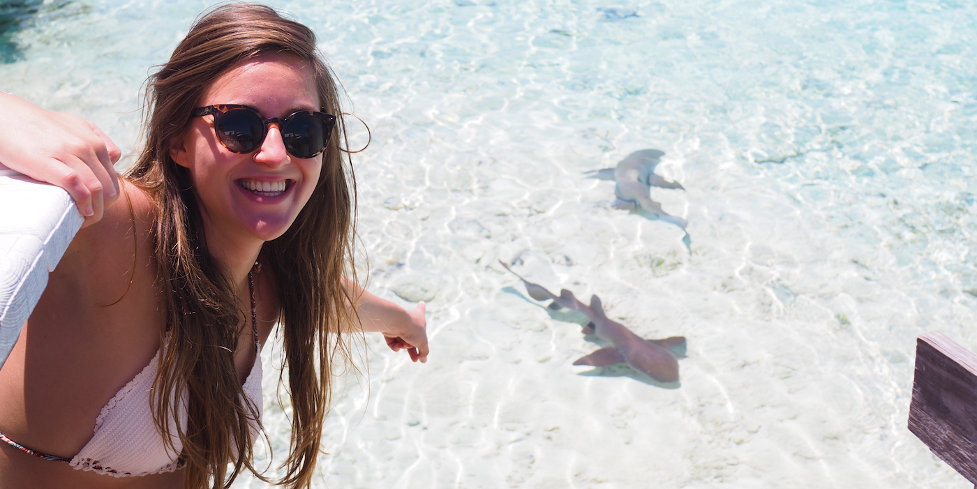 Bahamas Exumas Haaien