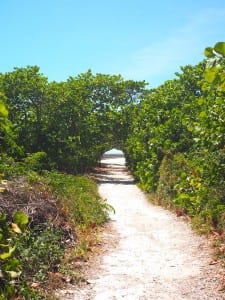 Bahia Honda state park weg oude brug