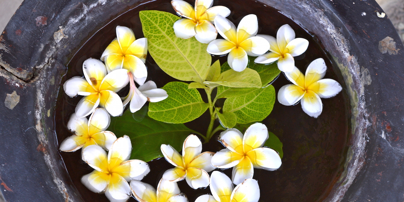 Bali beginners tips