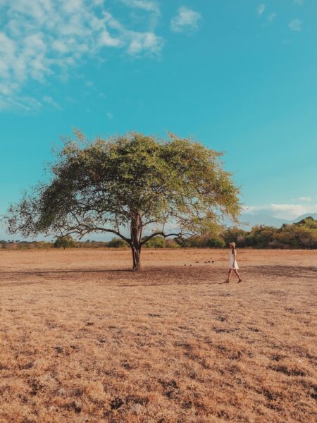 Baluran National Park