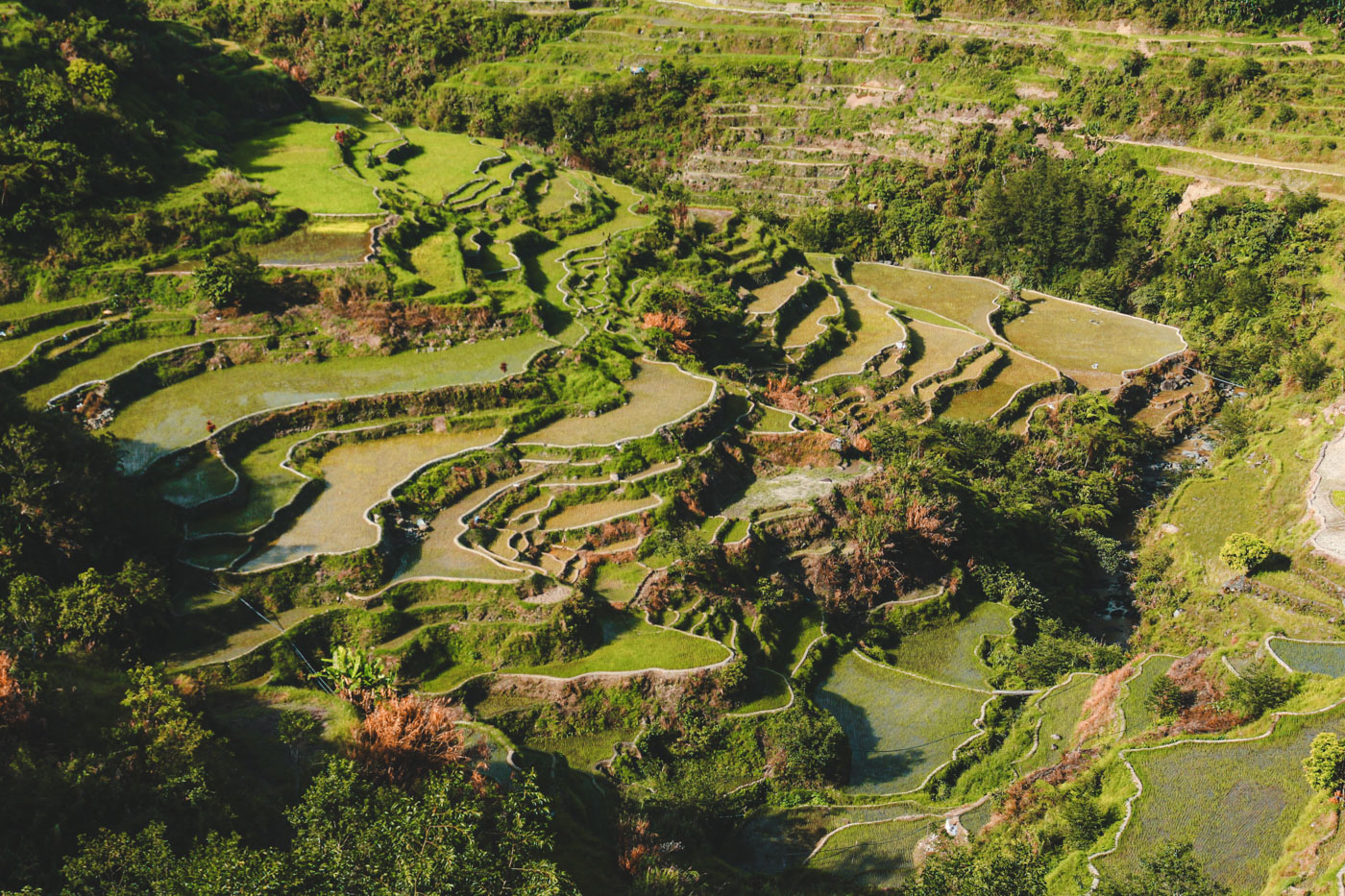 Banaue filipijnen rijstvelden-2
