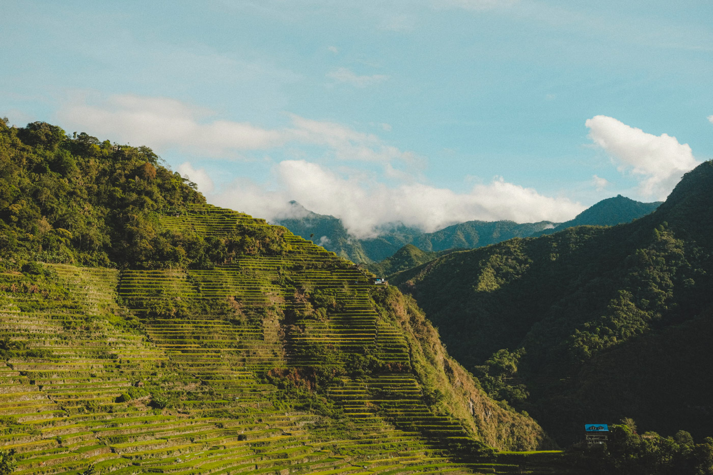 Banaue filipijnen rijstvelden