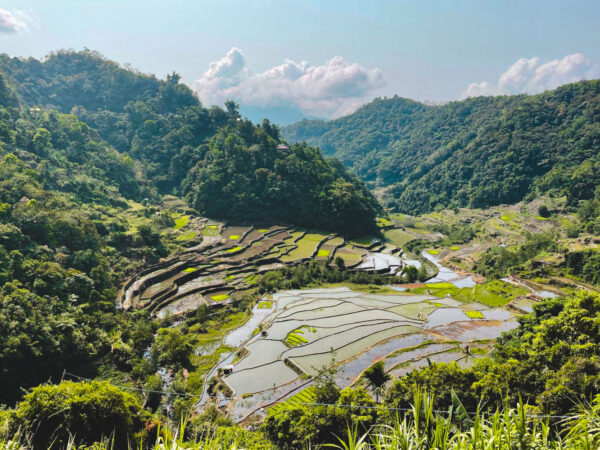 Banaue natuur filipijnen