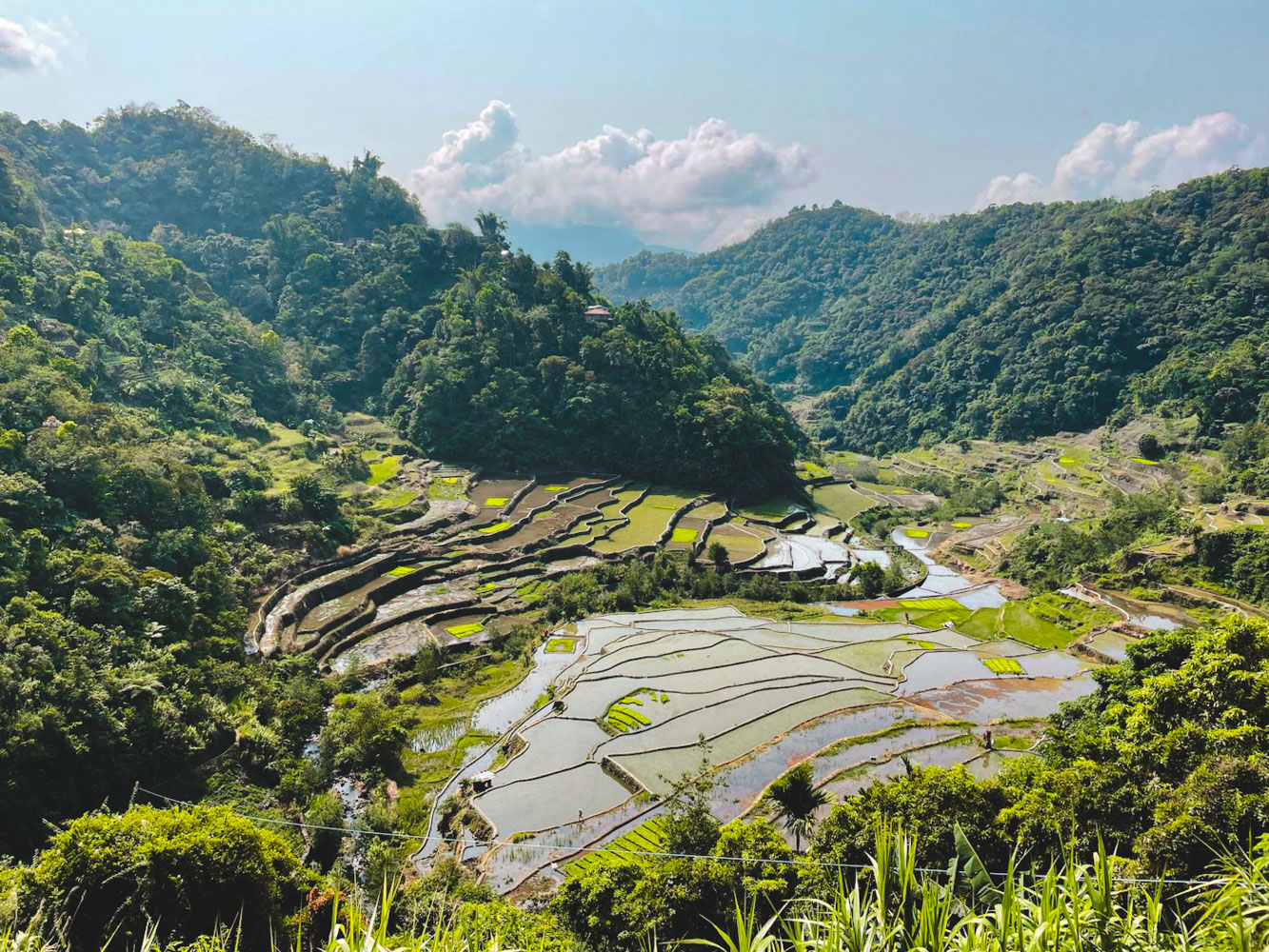 Banaue natuur filipijnen
