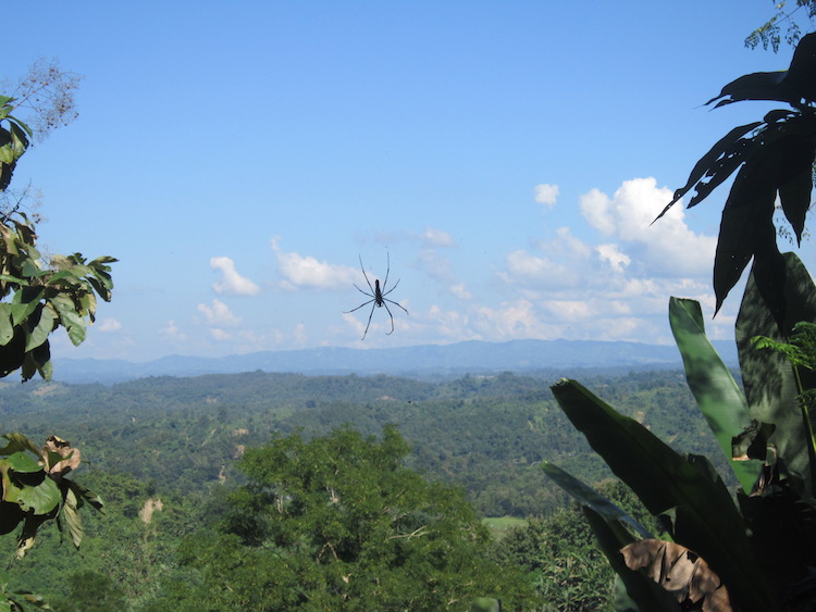 Bandarban bezienswaardigheden Bangladesh