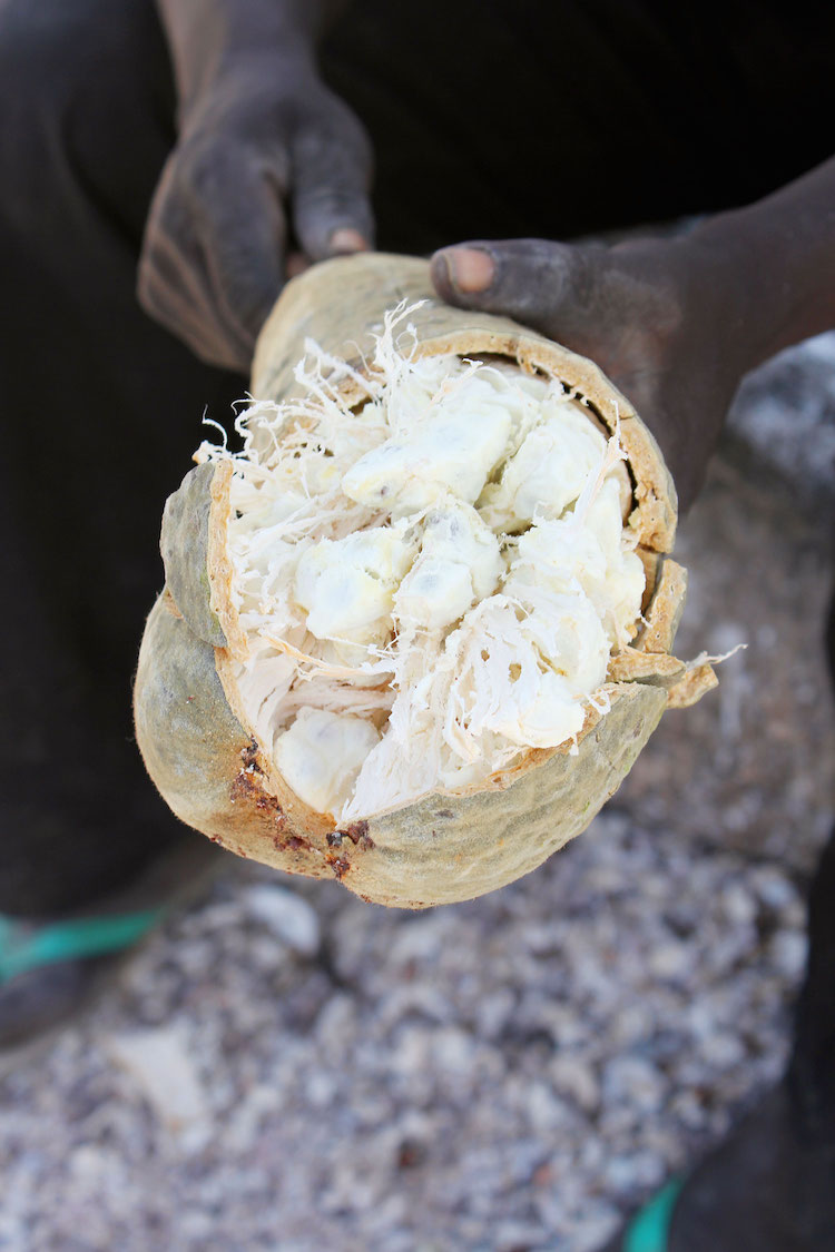 Baobab