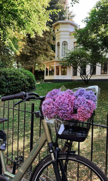 Batavus Senz mandje voorop beste stadsfiets