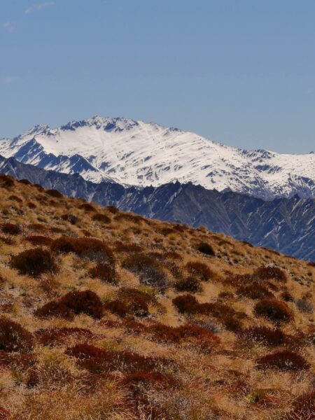 Ben Lomond besneeuwde toppen