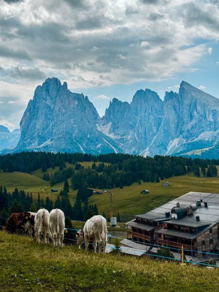 Bergen in de Dolomieten