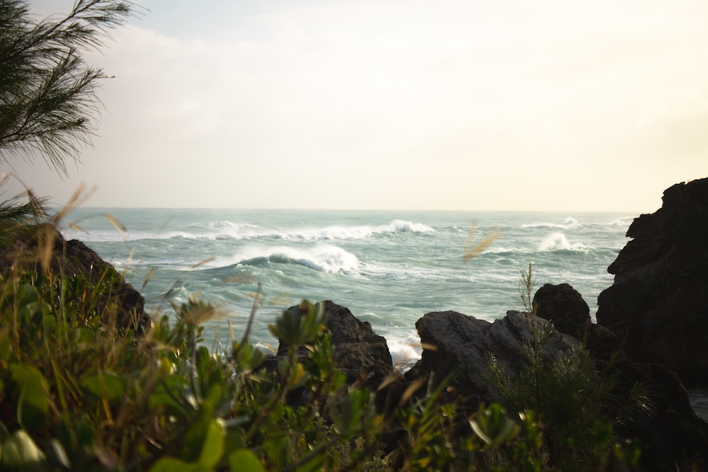 Bermuda driehoek, kust