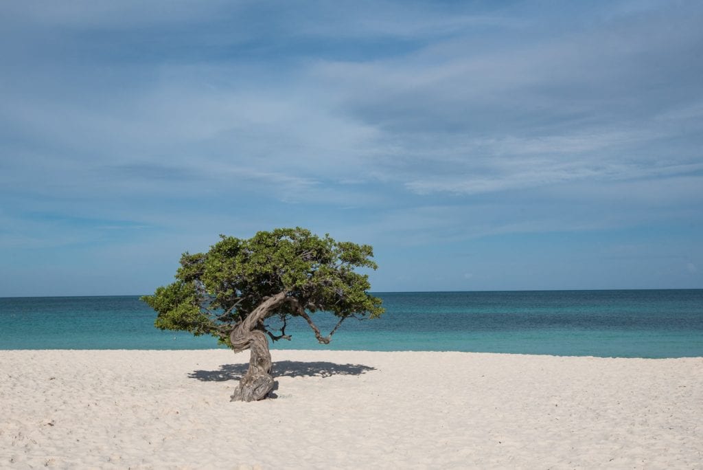 Bezienswaardigheden Aruba vakantie tips Eagle Beach