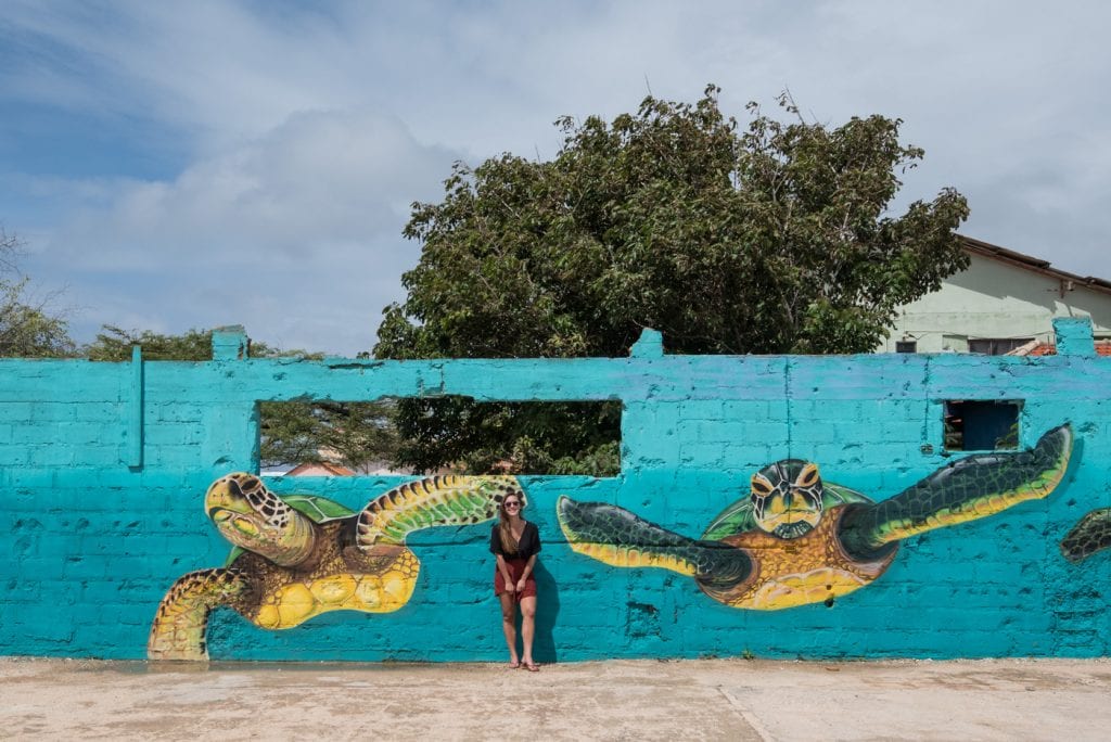 Bezienswaardigheden Aruba vakantie tips San Nicolaas schildpadden