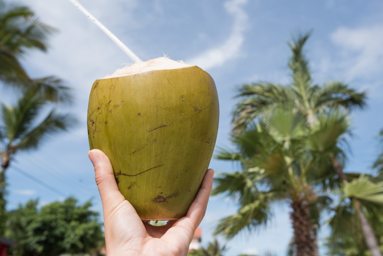 Bezienswaardigheden aruba tips Paradera park kokosnoot
