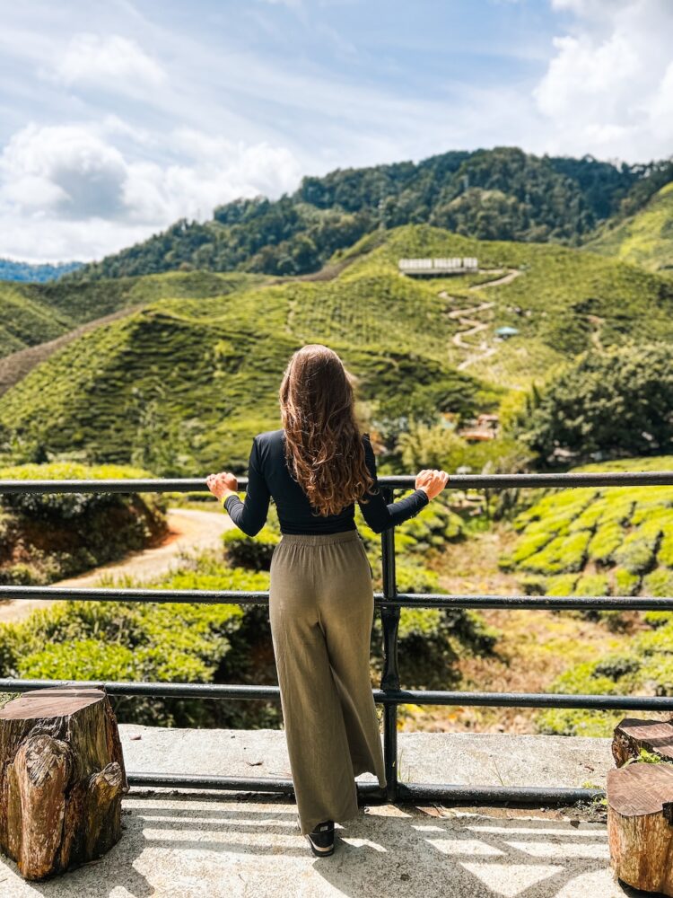 Bharat Tea Plantations uitzicht