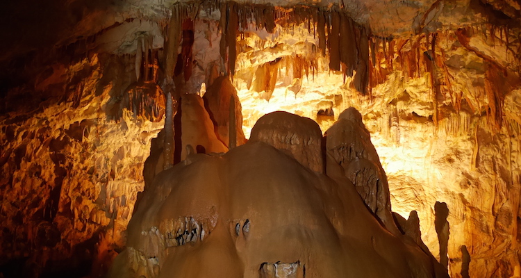 Binnen grotten van Postojna slovenie