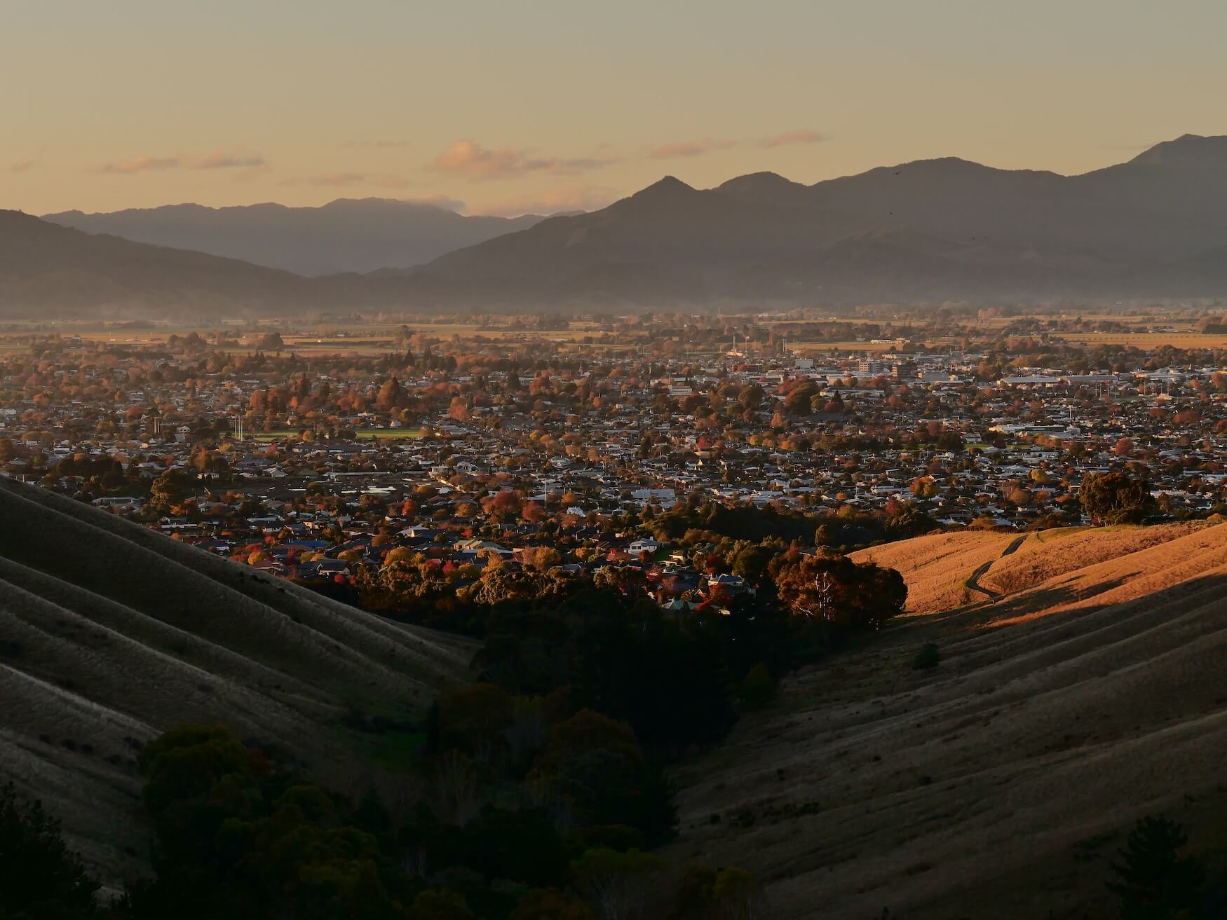 Blenheim Rotary Lookout Track Marlborough