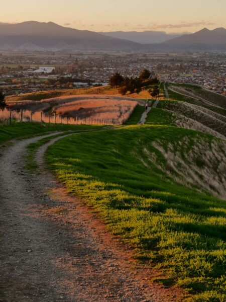 Blenheim Rotary Lookout Track paadje